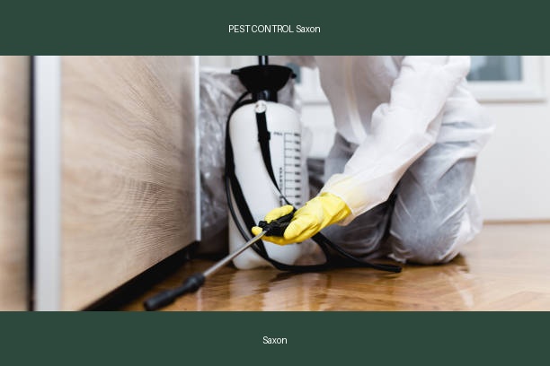 PEST CONTROL Saxon